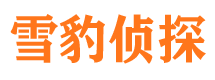 北票市调查公司